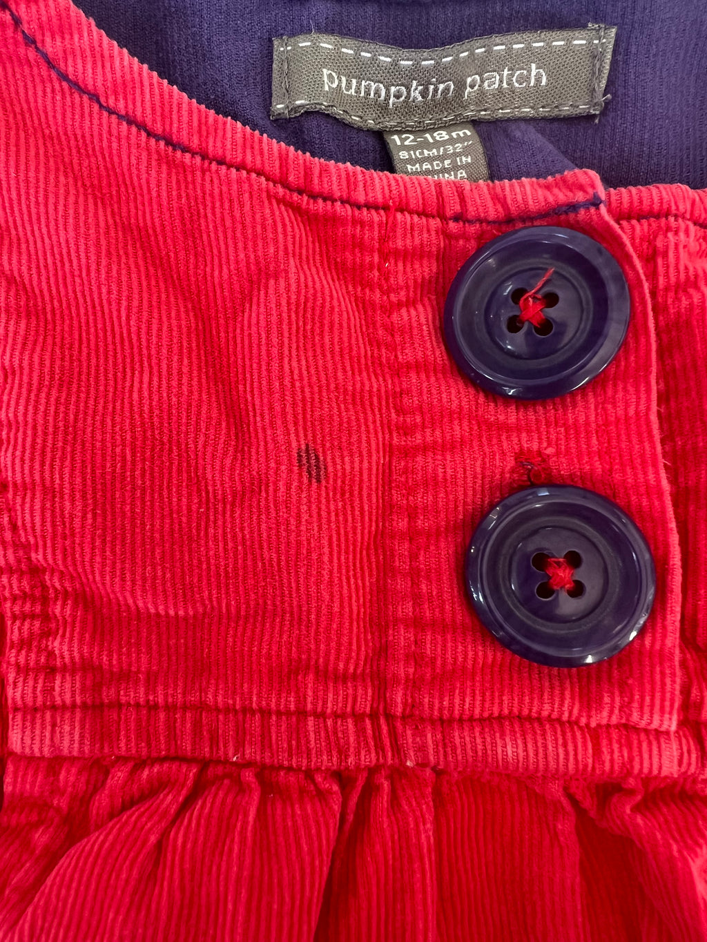 Pumpkin Patch Dress (12-18M)