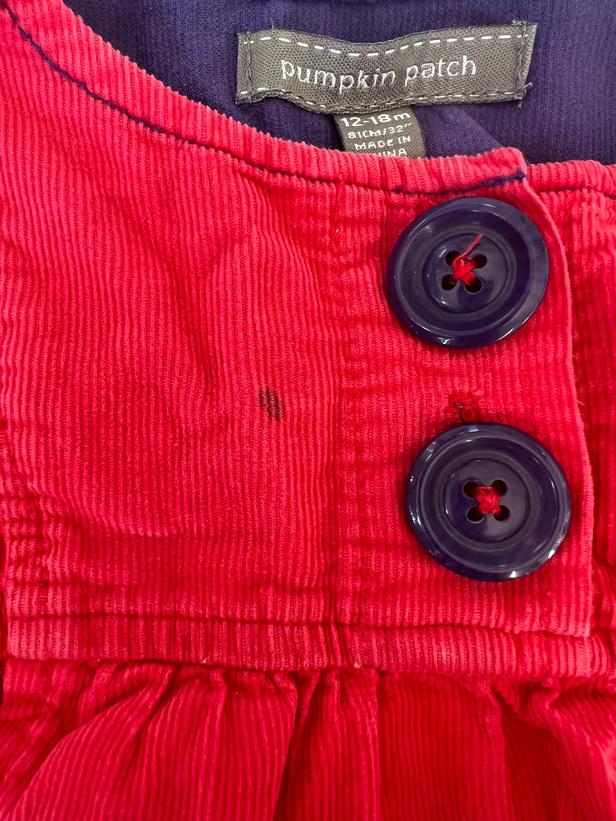 Pumpkin Patch Dress (12-18M)