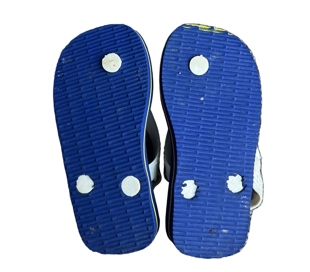 Blue and White Havaianas