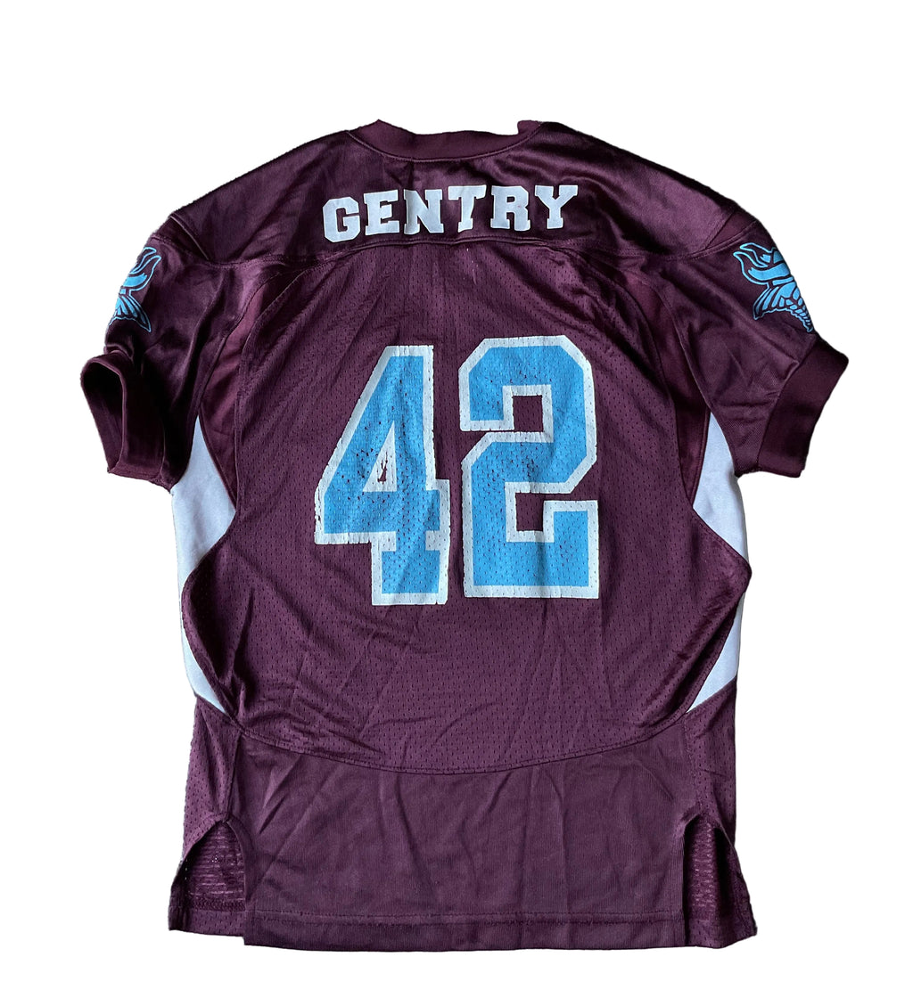 NFL Vikings #42 Gentry (M)